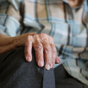 Во Владимирской области пропавшую 90-летнюю старушку нашли мертвой