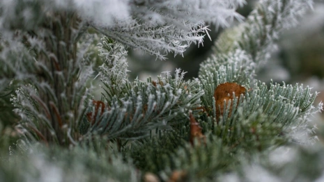Прогноз погоды во Владимире и области на 2 марта