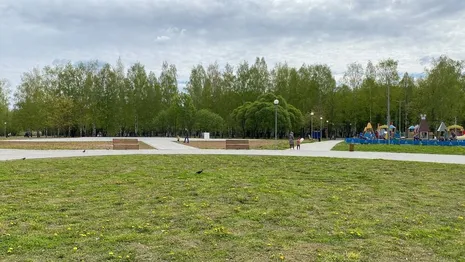 Во Владимире в парке «Добросельский» не досчитались туалетов