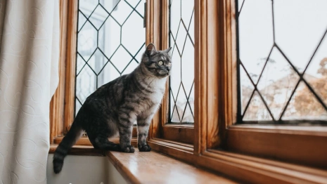 23 день Великого поста: что можно и нельзя 9 апреля