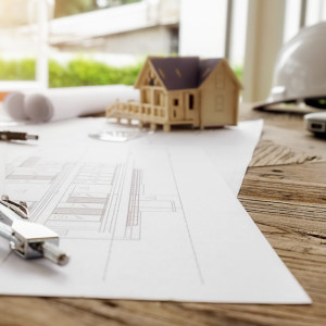 Во Владимирской области многодетной семье дали земельный участок без инфраструктуры