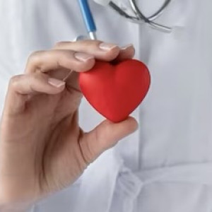 В Муромской ЦРБ появилась стресс-система для диагностики заболеваний сердца