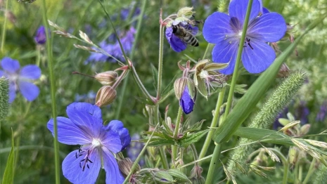 Прогноз погоды во Владимирской области на 14 августа 2025 года