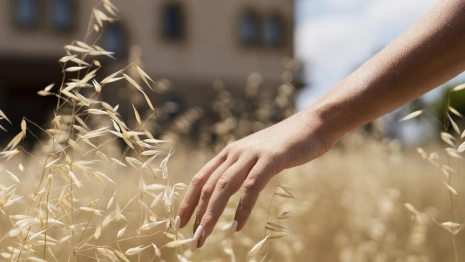 33 день Великого поста: что можно и нельзя 19 апреля 2024 года