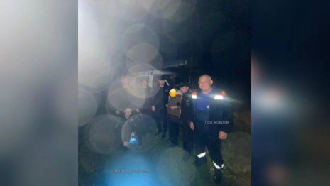 В Коврове спасатели помогли найти заблудившуюся в лесу 87-летнюю женщину