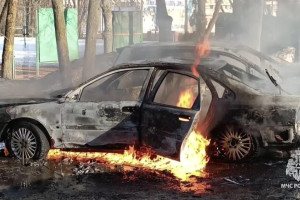 Во Владимире пожар в центральном парке уничтожил две машины