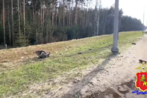 Водитель скутера погиб в ДТП на трассе М-7 во Владимирской области