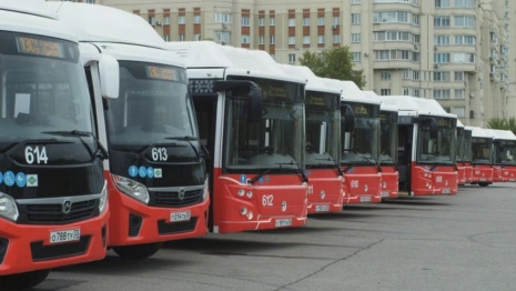 Во Владимирской области закупят 252 автобуса и 79 троллейбусов