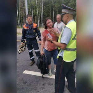 Во Владимирской области в аварии на М-12 пострадали двое взрослых и ребенок
