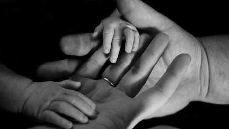 Жителям Владимирской области назвали единую дату выплаты маткапитала