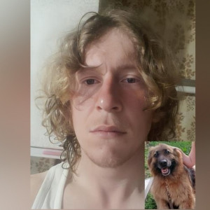 Во Владимирской области объявили в розыск мужчину с немецкой овчаркой