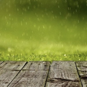 Во Владимирскую область вернутся ливни