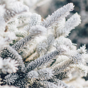 Прогноз погоды во Владимирской области на 6 января