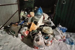 Владимирцы продолжают жаловаться на заваленные мусором дворы