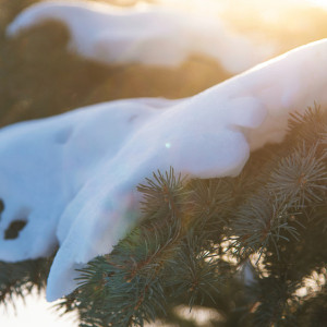 Прогноз погоды во Владимирской области на 13 января