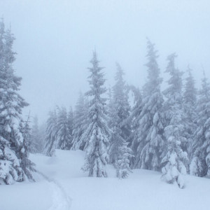 На Владимирскую область 3 декабря обрушится непогода