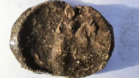 В Муроме нашли княжескую печать 13-го века