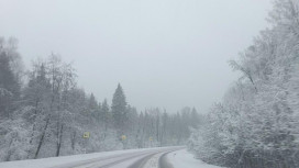 Владимирскую область начало засыпать снегом вслед за Москвой