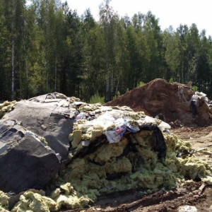Глава Следкома поручил возбудить уголовное дело из-за незаконной свалки под Ковровом