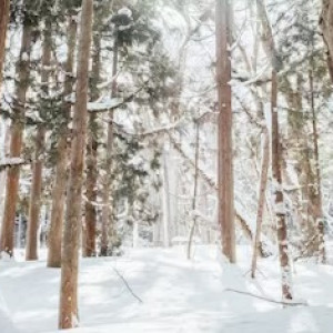 Пропавшую 34-летнюю жительницу Владимирской области нашли живой
