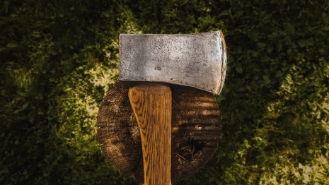 В Судогде под суд пойдет срубивший 33 дерева «черный лесоруб»