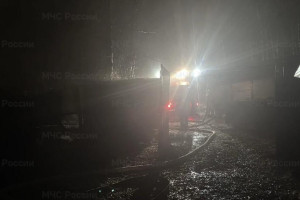 В деревне под Собинкой пожар унес жизнь 72-летнего мужчины