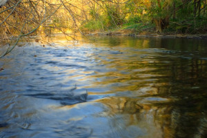 35 день Великого поста: что можно и нельзя 21 апреля 2024 года