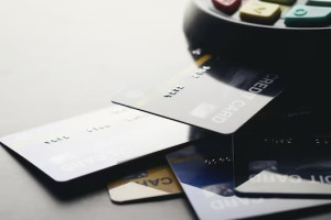 Единую карту жителя Владимирской области разработают к 2025 году