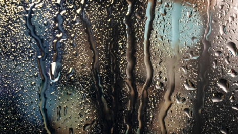 Во Владимире самыми дождливыми днями оказались 2 и 4 июня