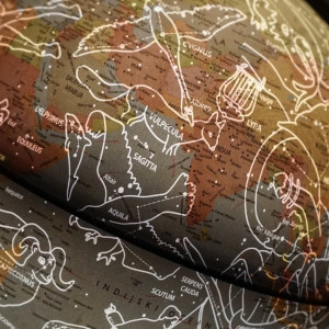 Новые возможности для львов и дефицит энергии у раков. Гороскоп на 30 декабря