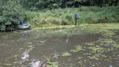 На реке Мотра в Селивановском районе утонул 66-летний мужчина