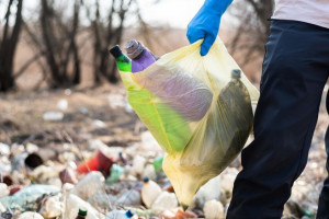 Во Владимирской области на борьбу с мусором направят 87 млн рублей