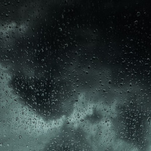 Владимирское МЧС предупредило о дожде и сильном ветре