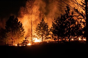 Жителям Владимирской области рассказали о 3 новых лесных пожарах 