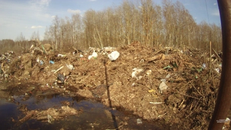 С жителя Владимирской области взыскали 5 млн рублей за захламленный участок