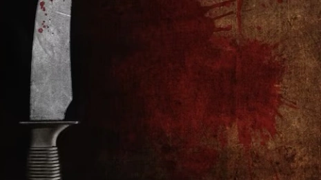 Дело о расправе на свидании над женщиной из Вязников дошло до суда