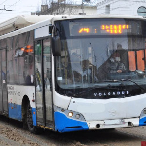 ФАС приостановила закупку автобусов для Владимира