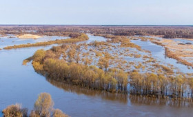 
Почти 400 участков остаются затопленными во Владимирской области