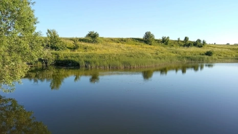 Стали известны личности утонувших в сельском пруду под Юрьев-Польским