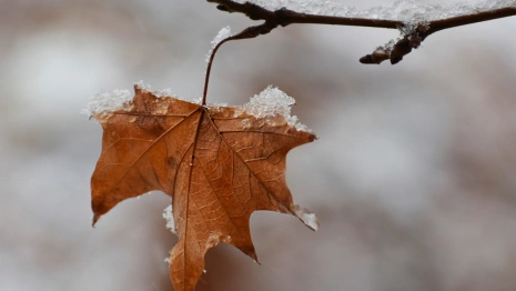 Прогноз погоды во Владимирской области на 24 октября