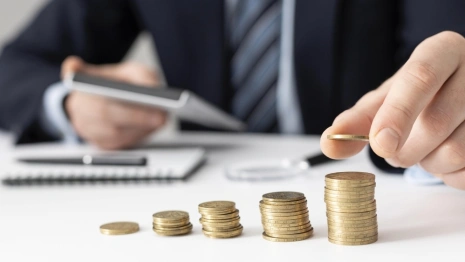 Пенсионерка отсудила 2 млн рублей у владимирского «Мавроди»