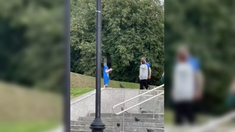 Во Владимире мальчик издевался над голубями в центре города