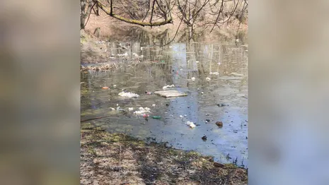 Во Владимире Добросельский пруд завалили мусором