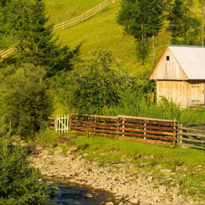 Во Владимирской области сохранят «оскорбительные» названия сел и деревень
