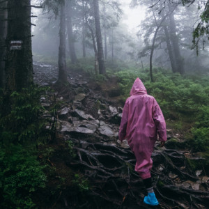 Владимирцев попросили помочь в поисках 82-летнего мужчины