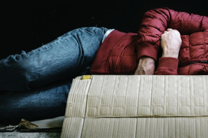 В лесу у ТЭЦ во Владимире нашли разложившийся труп 66-летнего мужчины