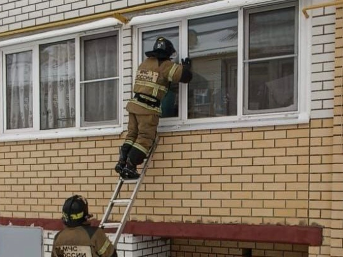 В Гусь-Хрустальном спасатели помогли упавшей в квартире бабушке - День во  Владимире