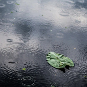 Прогноз погоды во Владимирской области на 10 августа