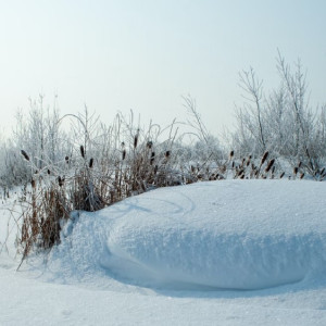 Владимирскую область завалит снегом