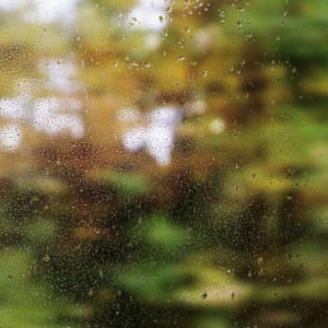 Прогноз погоды во Владимире и области на 8 апреля